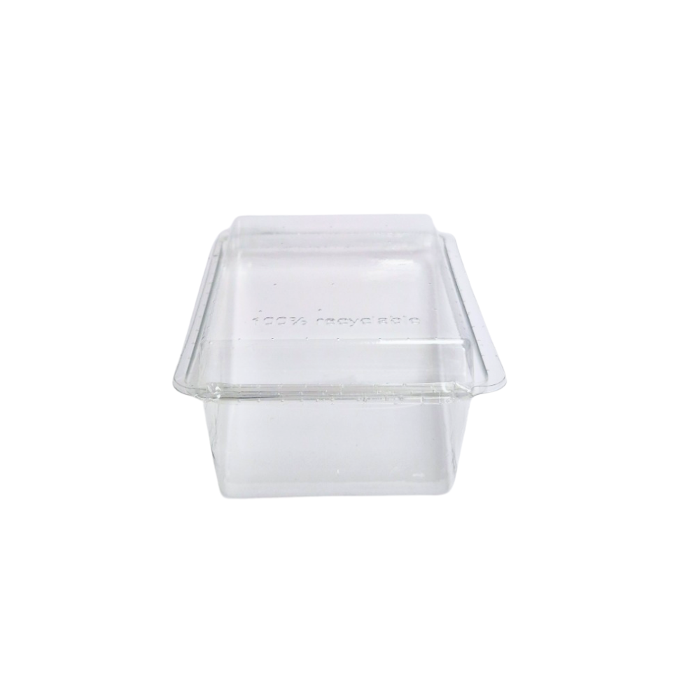Cake Slice Wedge Container - 1 Carton