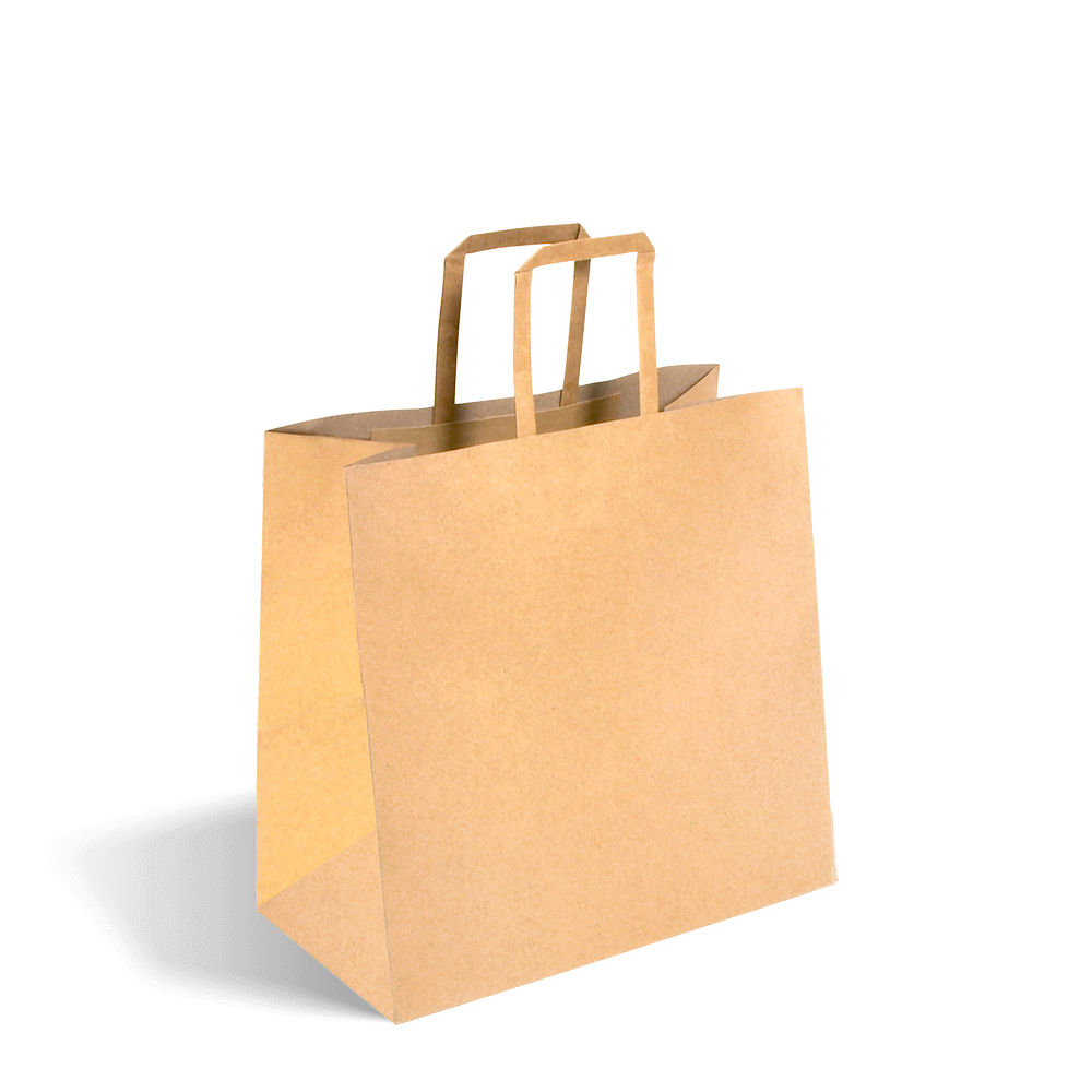 Small Premium Kraft Paper Bags Flat Handle - 1 Carton