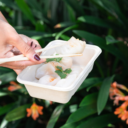 600ml White Bagasse Rectangular Containers - 1 Carton