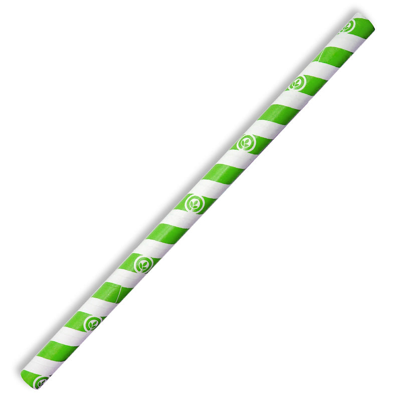 Jumbo Paper Straws - 1 Carton