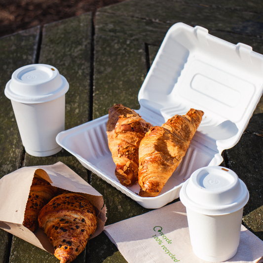 9x6x3" Bagasse Clamshell Containers - 1 Carton