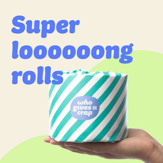Who Gives A Crap 100% Recycled Toilet Tissue 3 Ply - 48 Pack