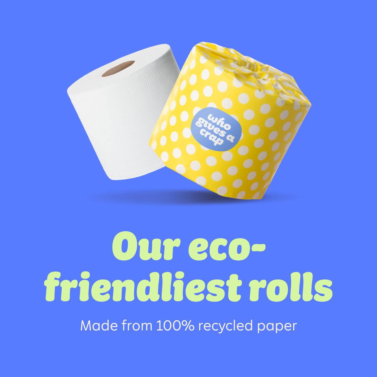 Who Gives A Crap 100% Recycled Toilet Tissue 3 Ply - 24 Pack