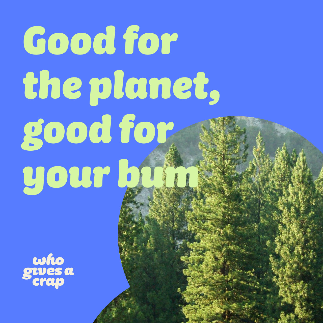 Who Gives A Crap 100% Recycled Toilet Tissue 3 Ply - 24 Pack