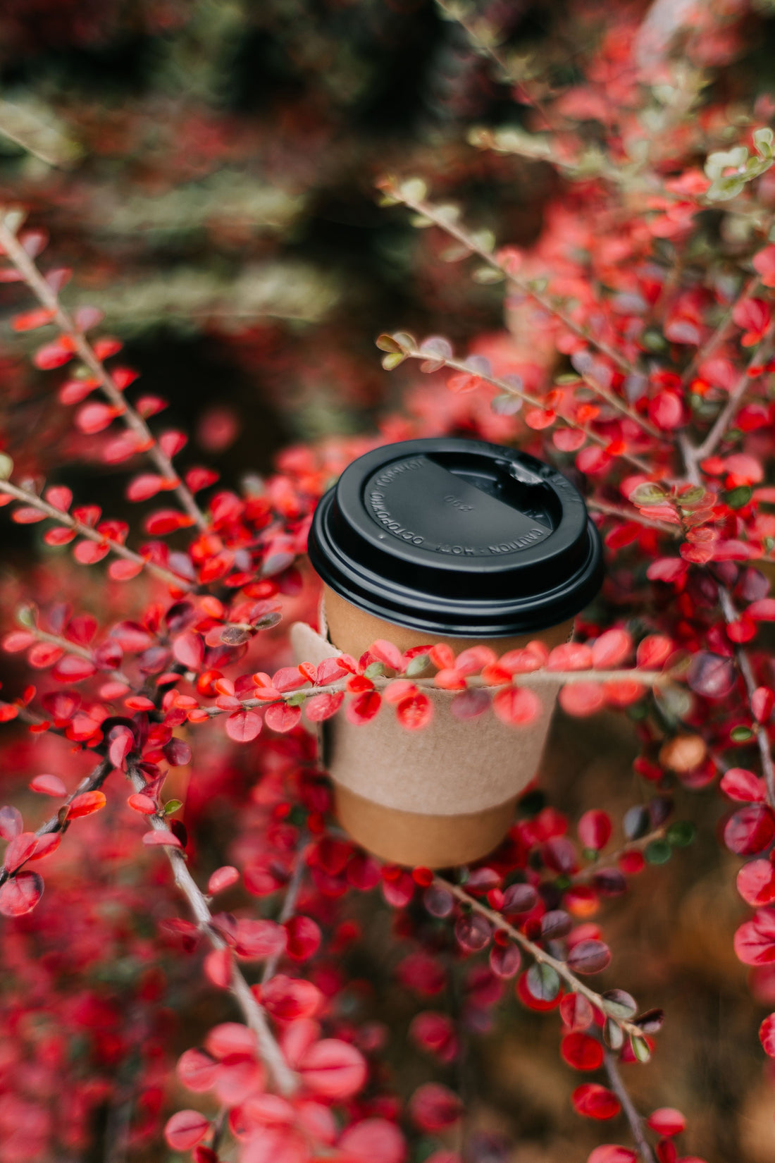 Current Coffee Cup Trends