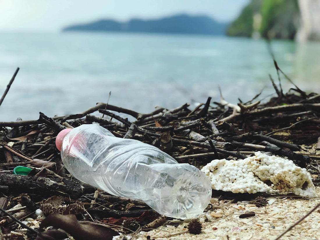 Plastic-Free Packaging for a Cleaner Future