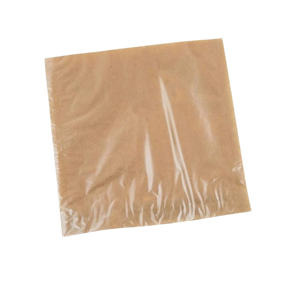 10x10" Kraft Film Fronted Bags - 1 Carton