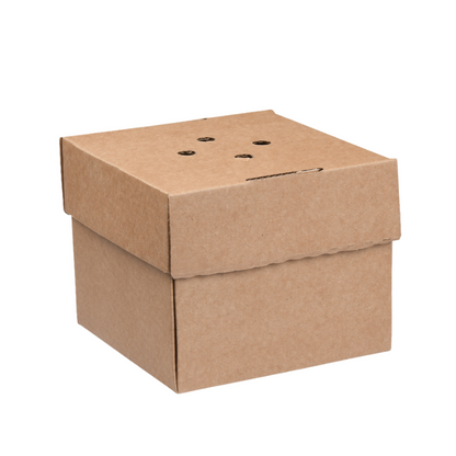 eco friendly takeaway burger boxes food packaging uk