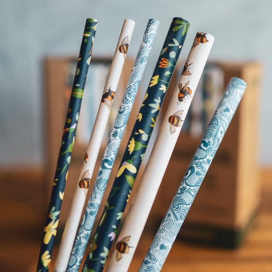 8mm Art Series Paper Straws - 1 Carton