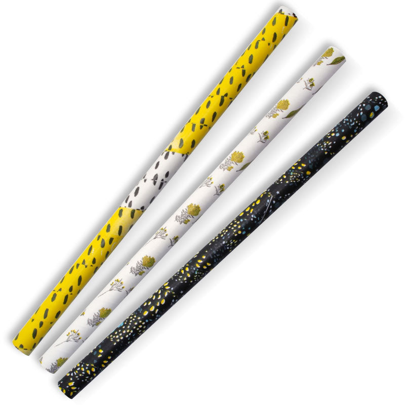 Jumbo Paper Straws (1 Carton)